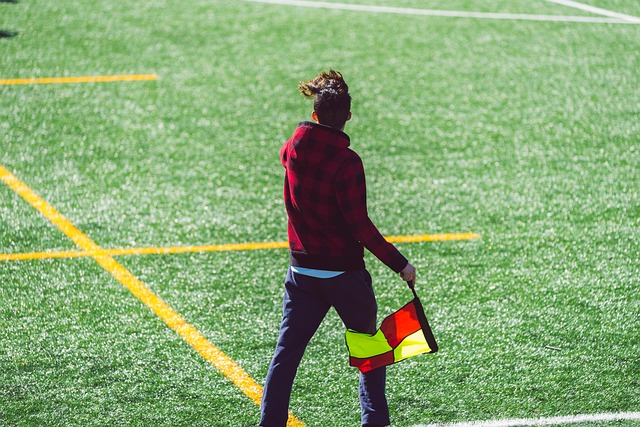 的重要平台 的重要平台