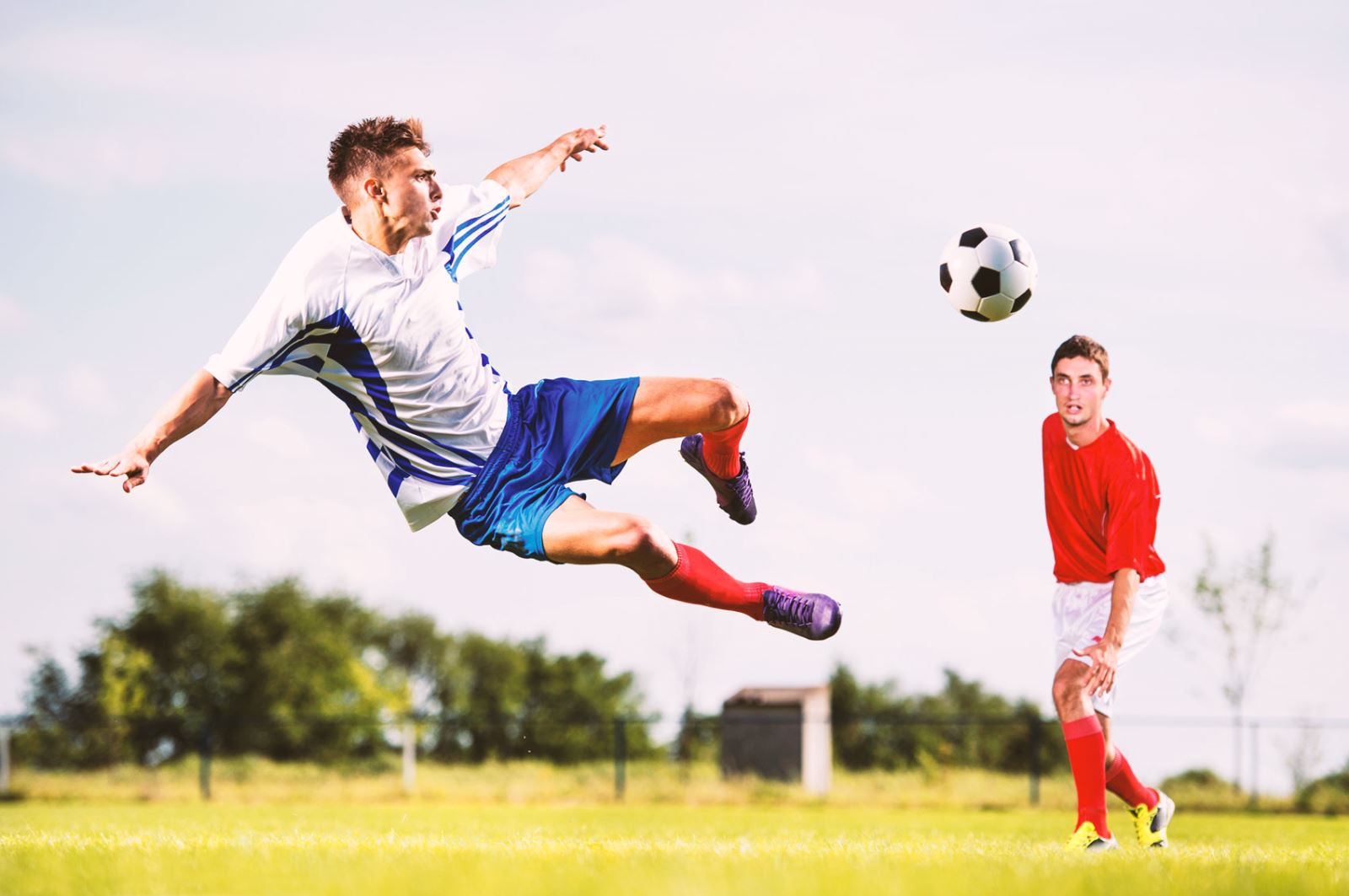 座宝贵的冠 座宝贵的冠