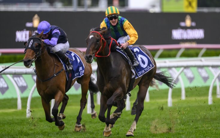 还将重视 还将重视